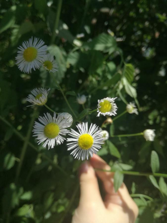 사라예보 " Relax & Enjoy " 아파트 외부 사진